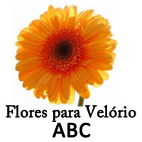 (c) Floresparavelorioabc.com.br