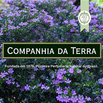 COMPANHIA DA TERRA