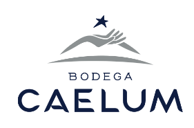 Bodega Caelum