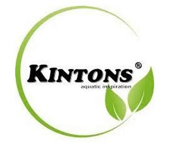 KINTONS