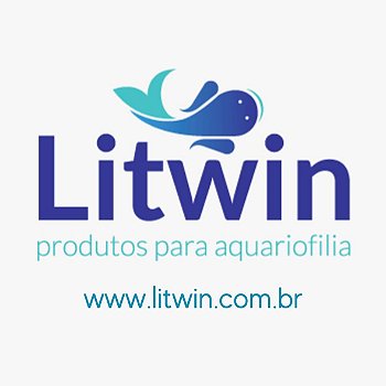 Litwin