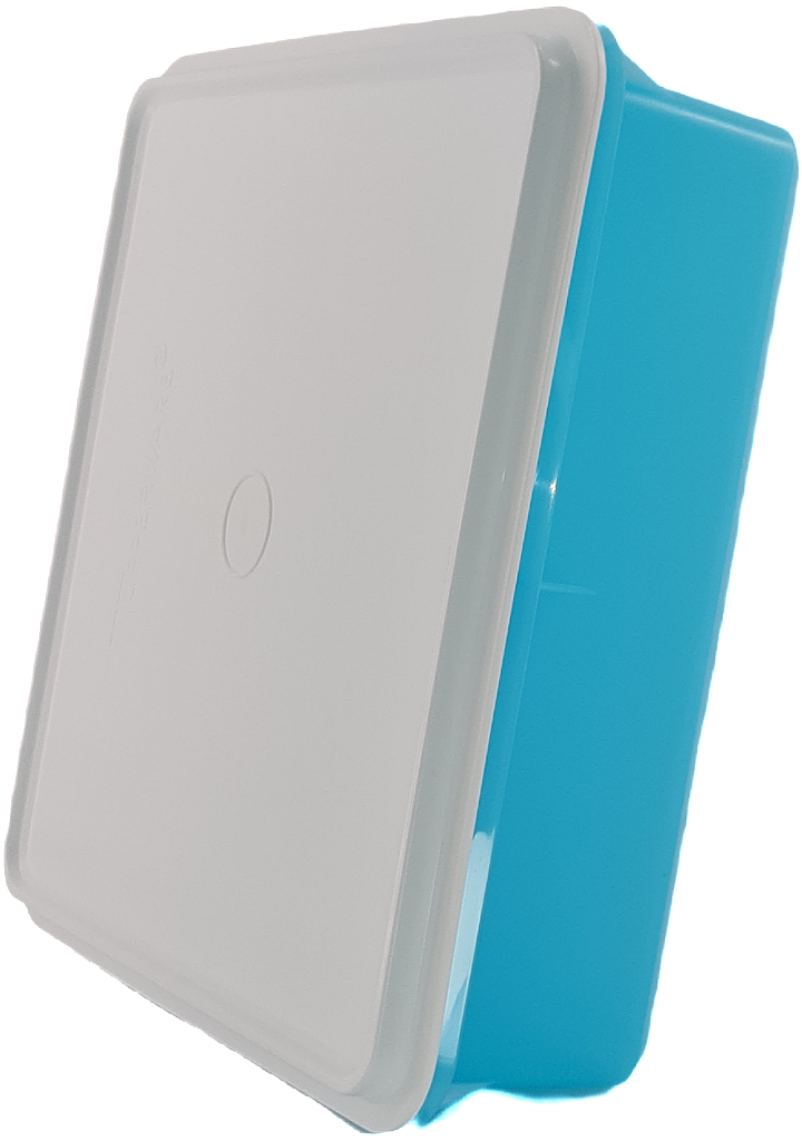 Tupperware Caixa Versátil 2,5L Pacifico # - Utensílios Brasil