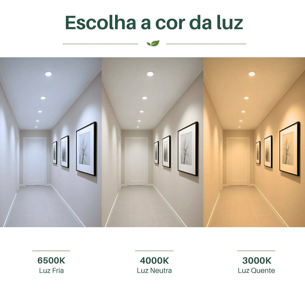 Opções de cor da luz do Spot LED 7W Redondo Depolux