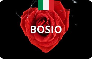 Bosio