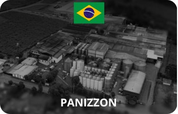 Panizzon