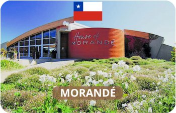 Morandé