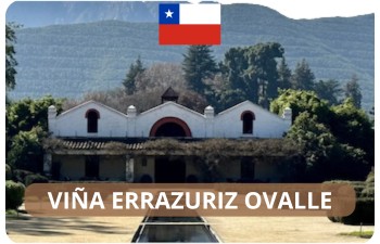 Viña Errazuriz
