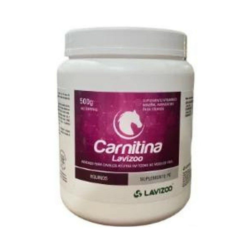 l-carnitina preo farmacia L Carnitina 500mg - 60 Doses SOLARAY L-CARNITINA 500 MG 30