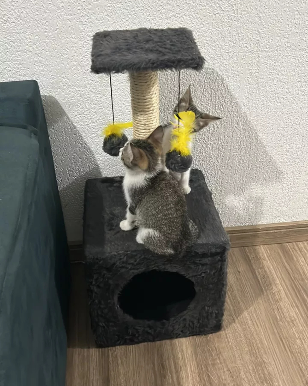 Imagem 1 Cat Box