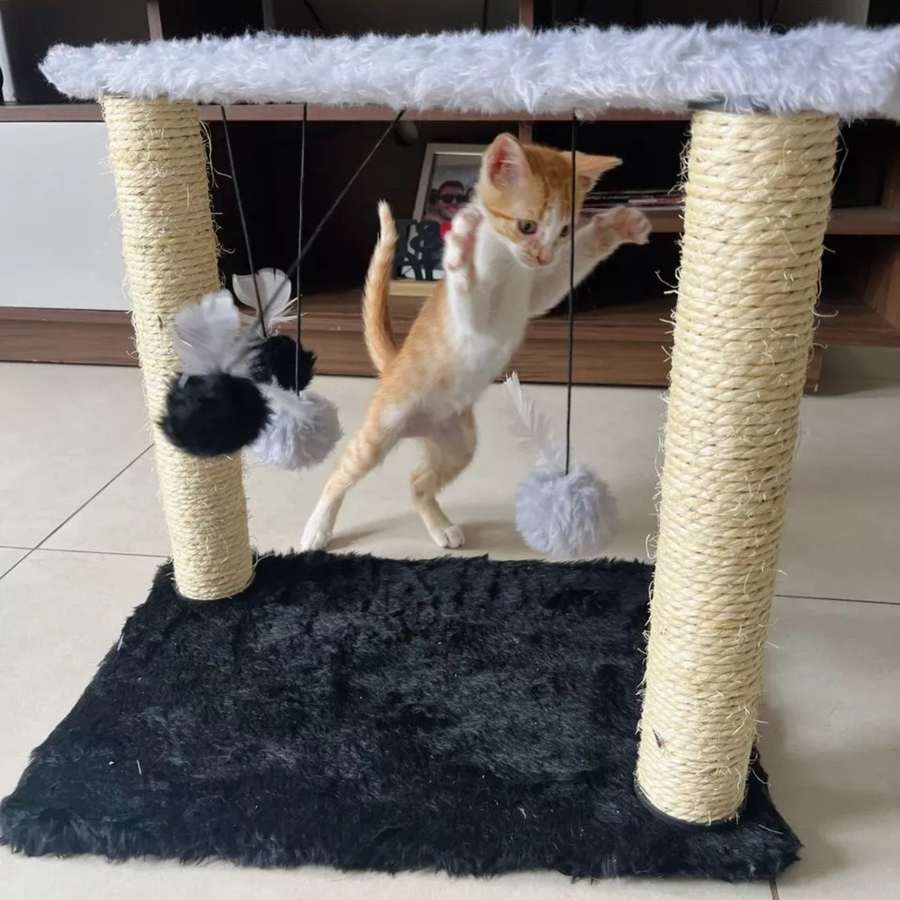 Cat Line imagem 1