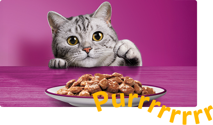 Whiskas Filhote - Imagem 2