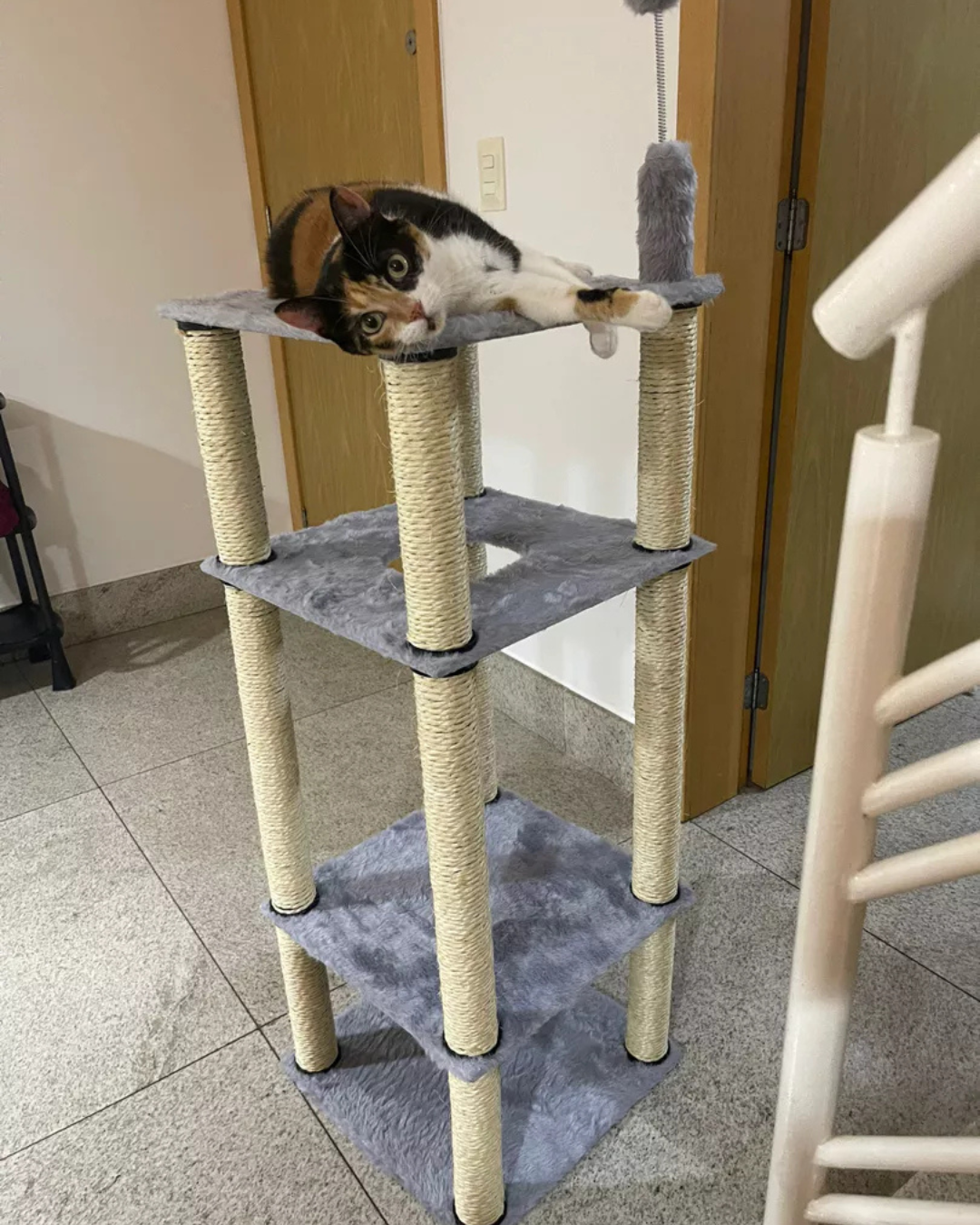 Cat Tower - Imagem 3