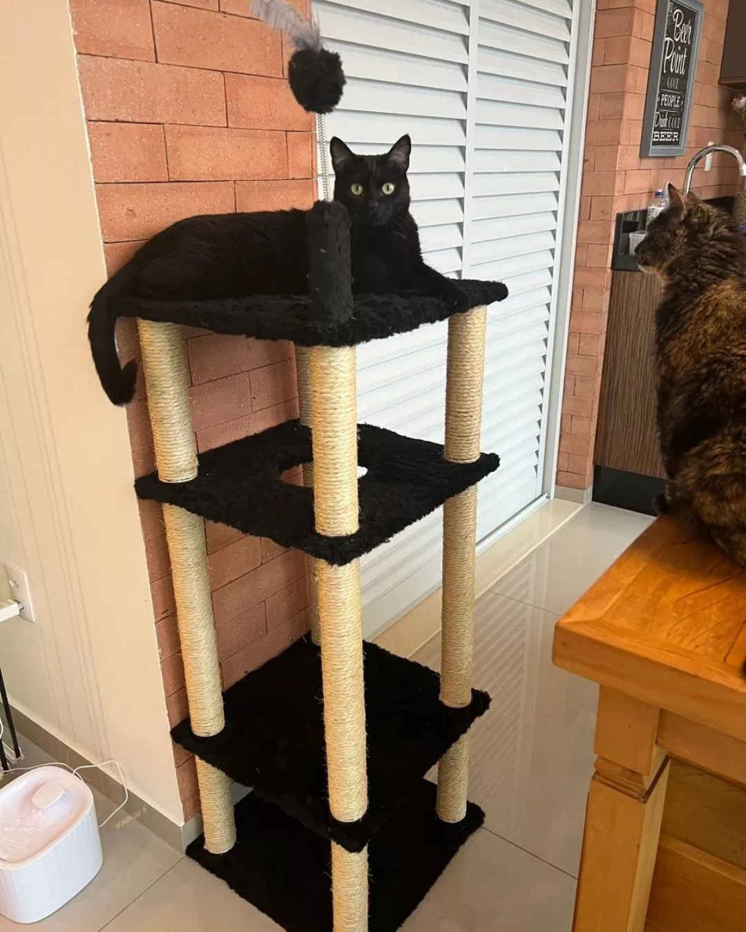 Cat Tower - Imagem 1
