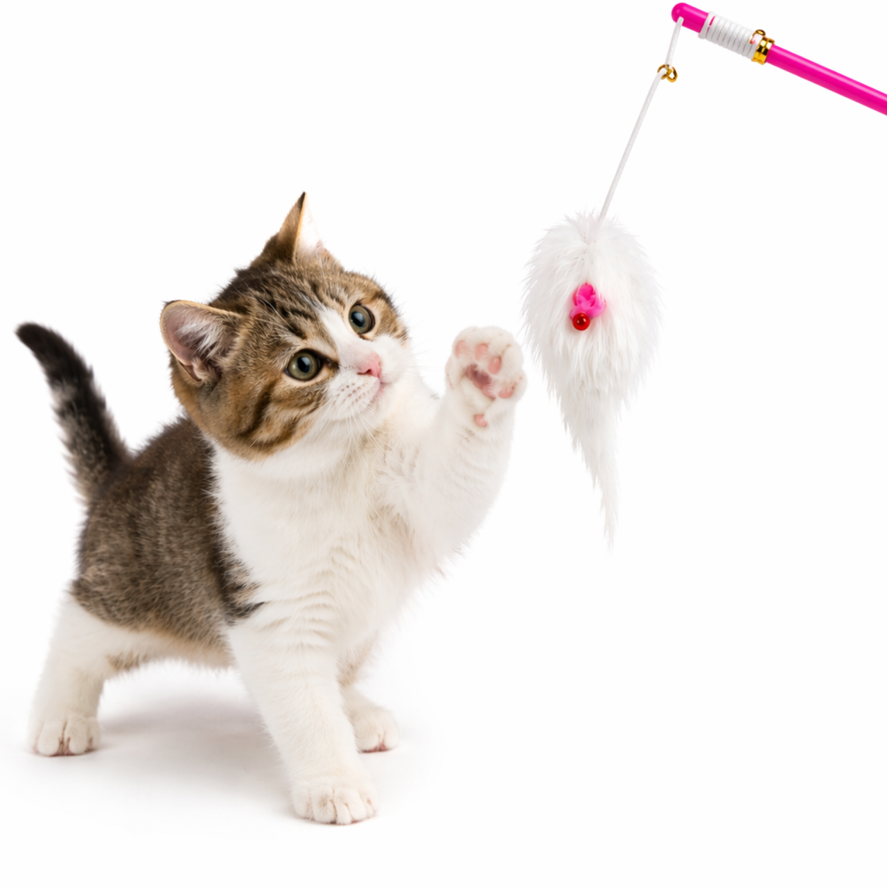 Varinha Pesca Gato com Ratinho - Imagem 2