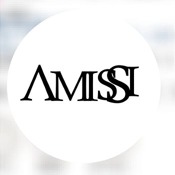 Amissi Store