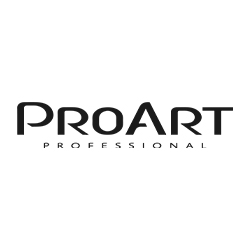 Pro Art Professional