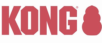 Kong Company