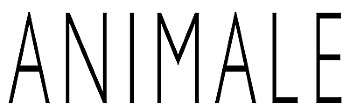 Animale