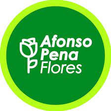 AFONSO PENA FLORES
