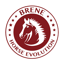 BRENE HORSE