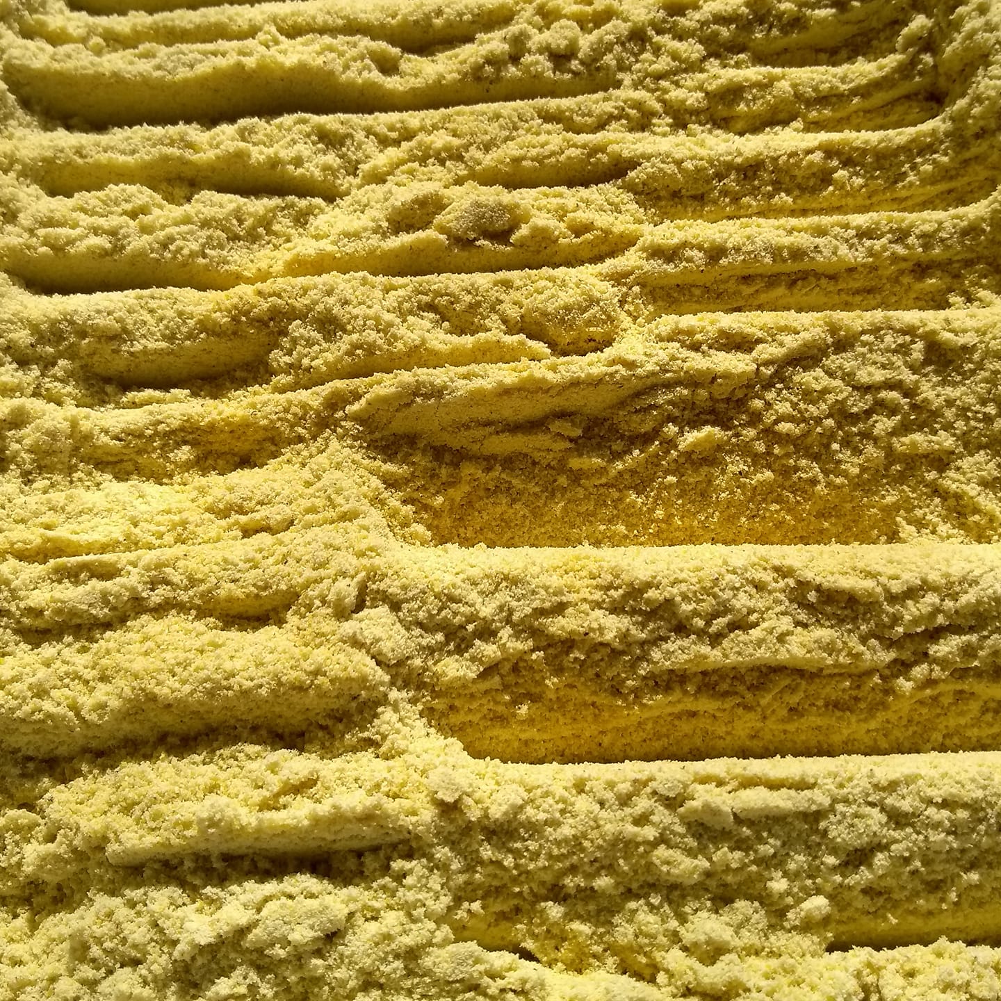 Testal - Farinha de Milho Nixtamalizado