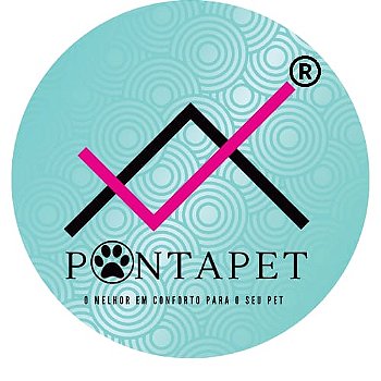 Pontapet