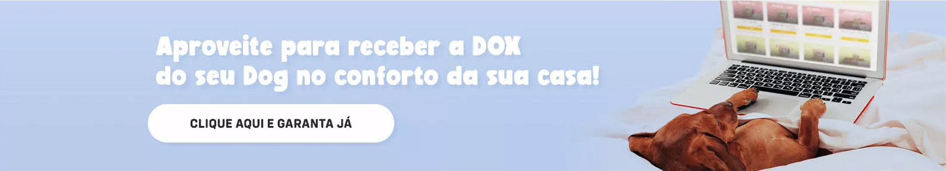 Texto alternativo para a imagem