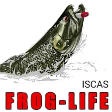 Frog Life