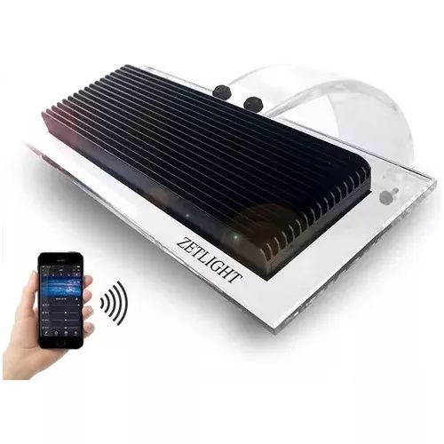 るい Rodolfinho da Z- Testando Kawasaki Ninja ZX-12R - 2001 - YouTube