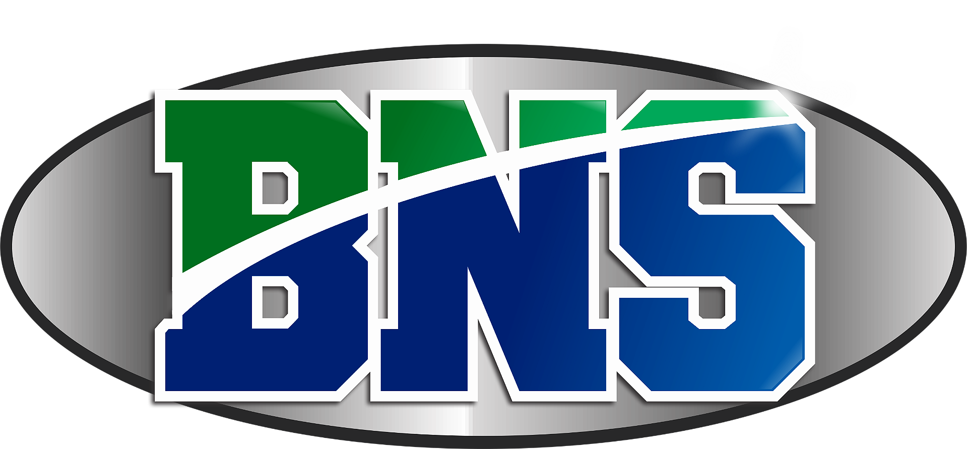 Logo BNS Nutrition