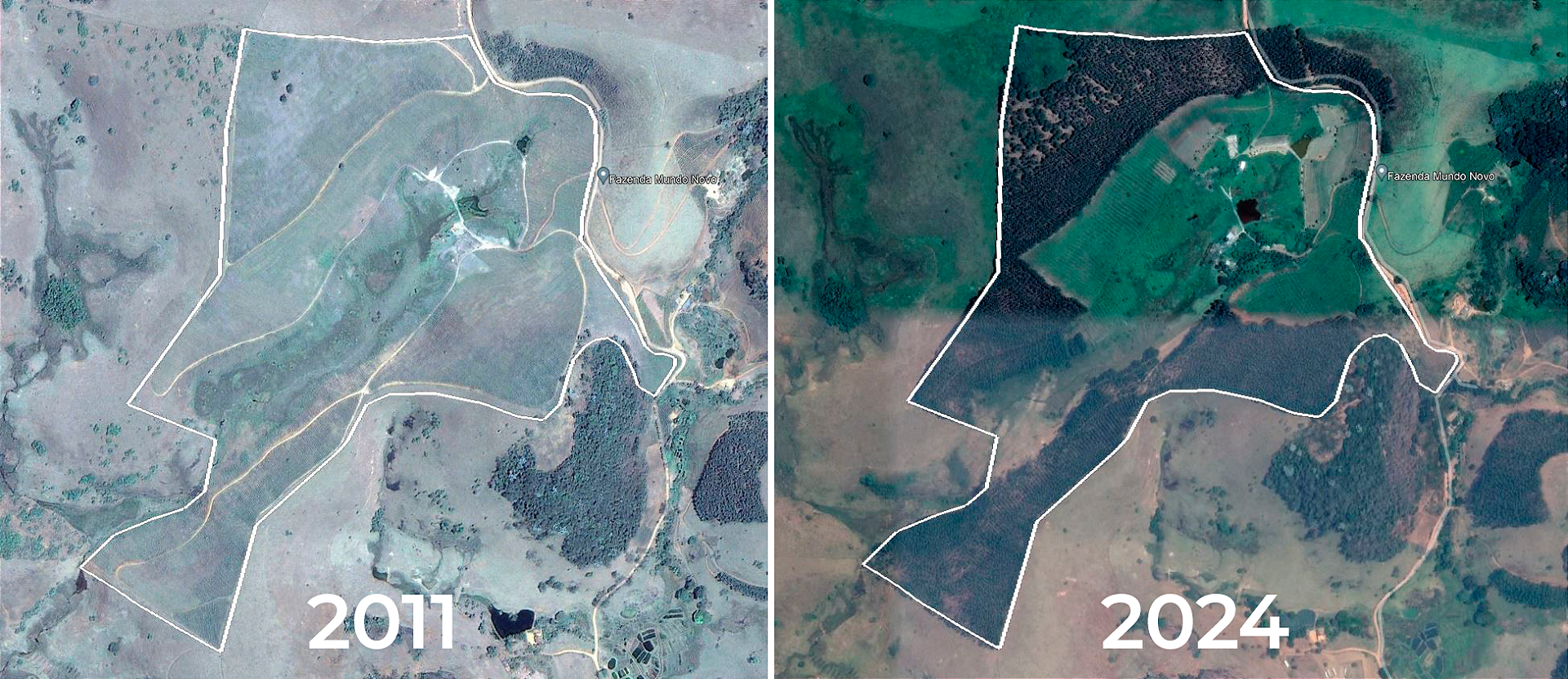 Fazenda