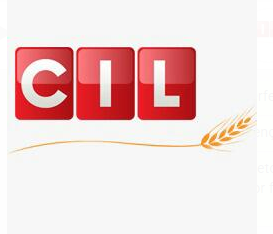 CIL