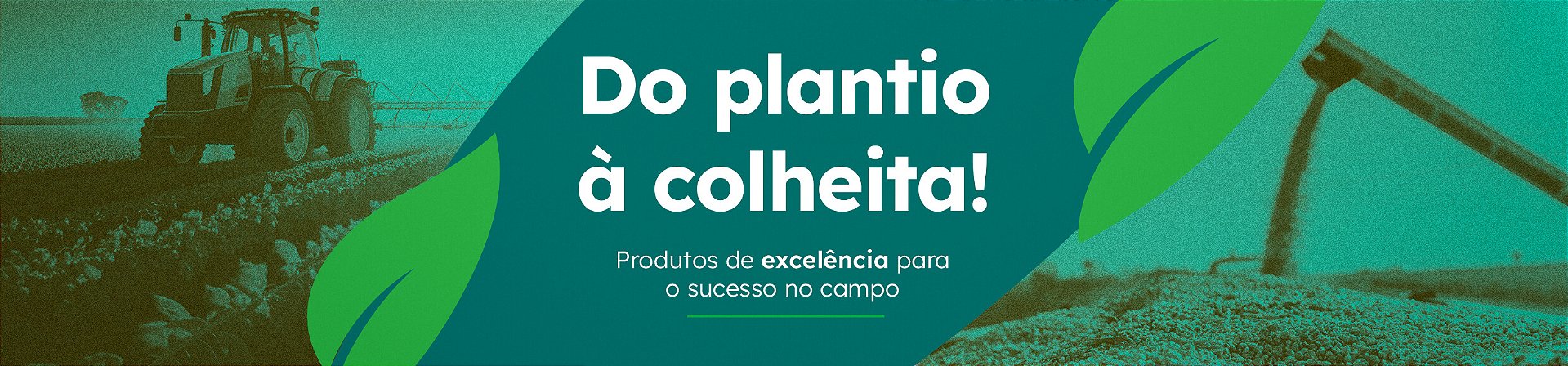 Banner Institucional da Loja Agriex