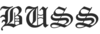 BUSSFLY
