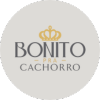 BONITO PRA CACHORRO