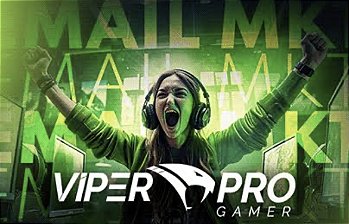 Viper Pro Gamer