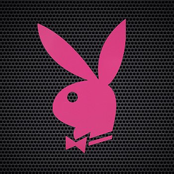 Pó Translúcido Playboy