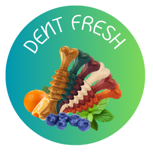 Dent Fresh