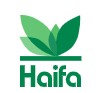 Haifa