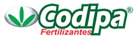 Codipa
