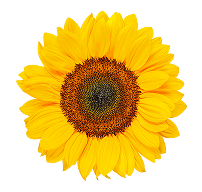 Mãe e filha cozinhando