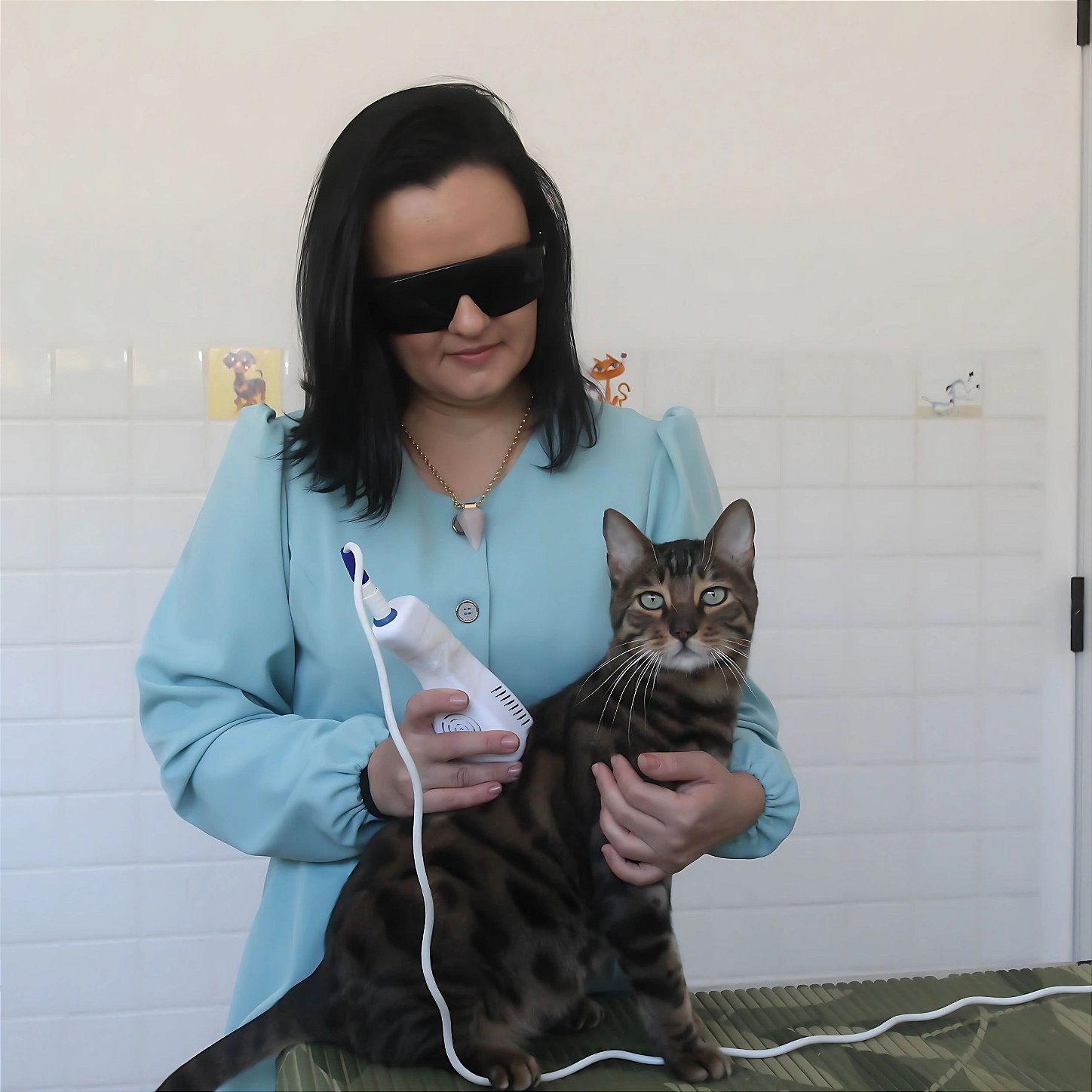 Terapia fotodinâmica e fotobiomodulação em cães e gatos