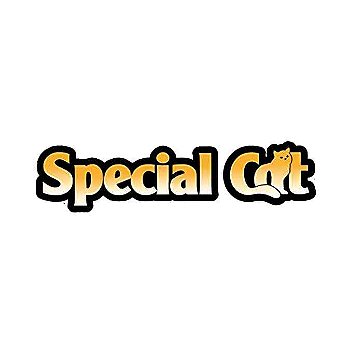 Special Cat