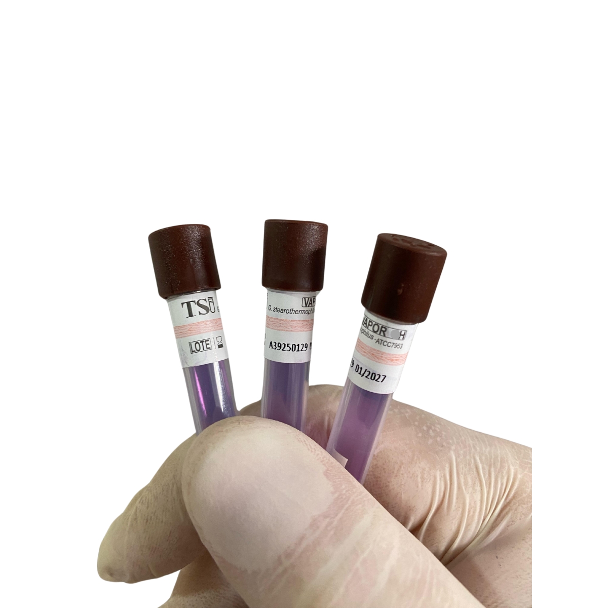 Tubos de teste biológico para autoclave usados na validação da esterilização