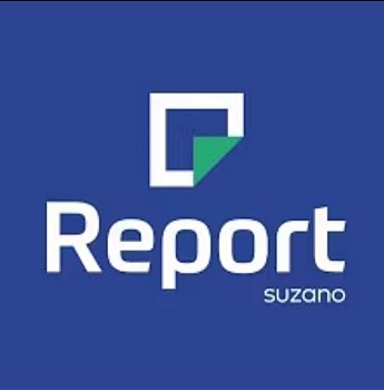 Report Suzano