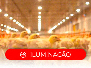 Iluminação
