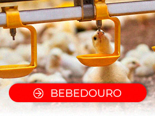 Bebedouro