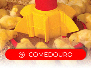 Comedouro