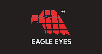 eagle eyes