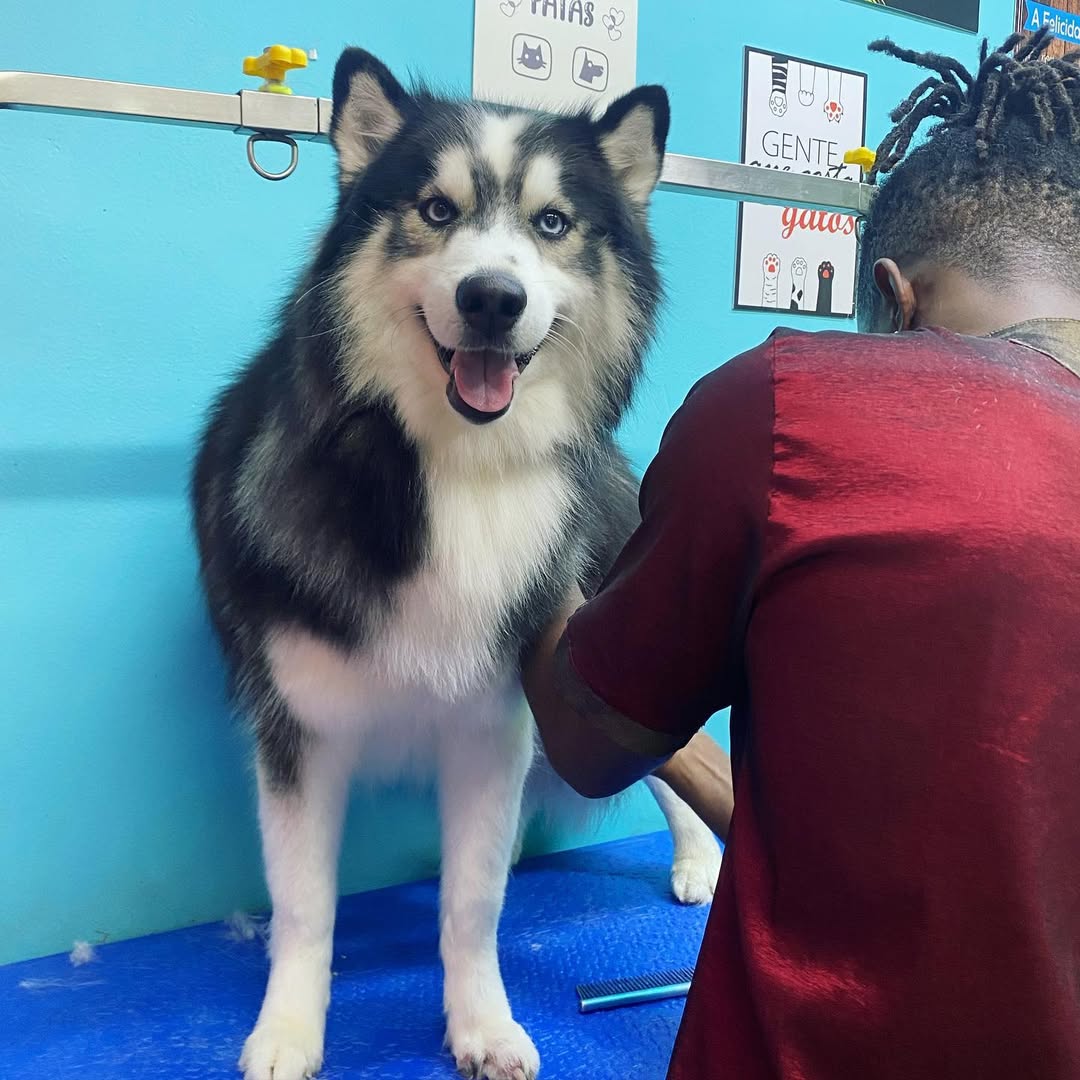 Loki no banho